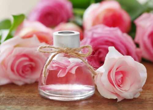 Rose Oil Premium