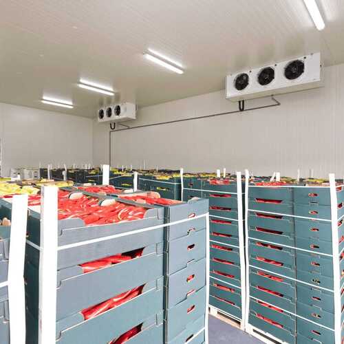 Stainless Steel / Pvc Vegetable Cold Storage Room