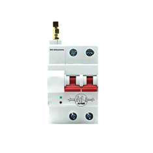 2 Pole 63 AMP Mcb