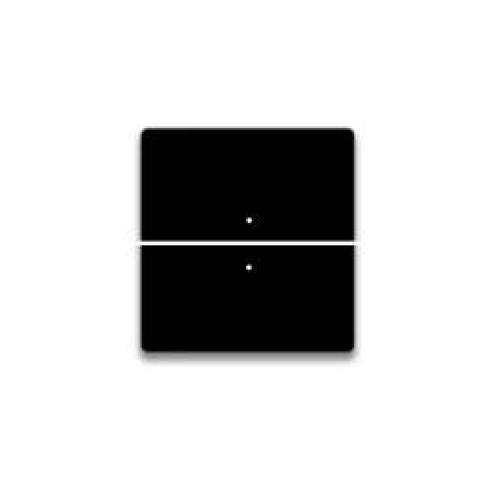 Black Touch 2 Switches