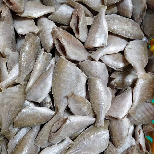 Silver Biddy Fish