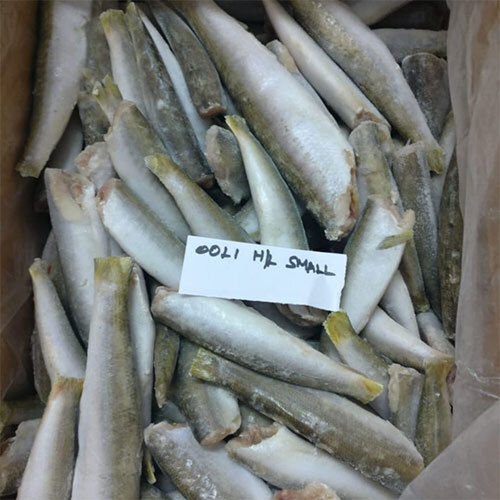 Barracuda Dressed Fish Packaging: Bulk