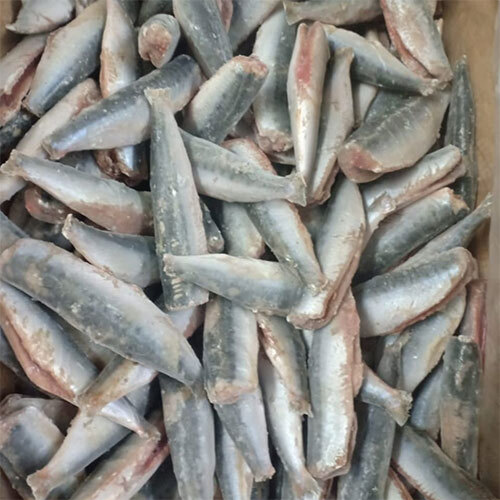 Oil Sardine Dressed Fish