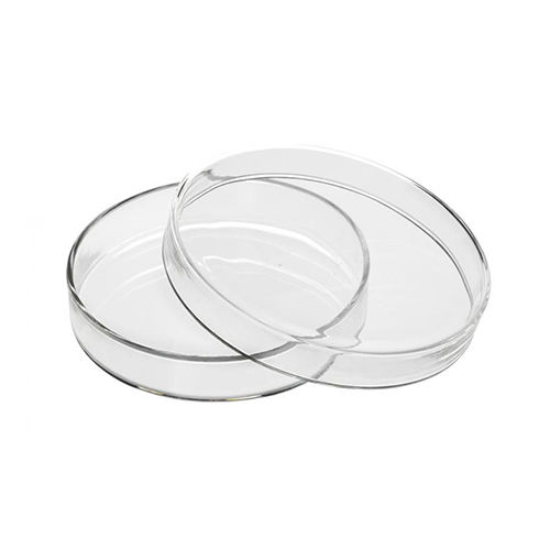 3D Petri Dish Small - TurboSquid 2002704