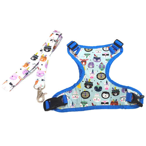 Stylish Dog Harness With Matching Leash