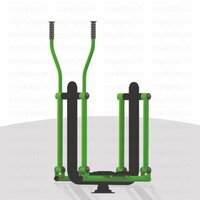 Pendulum Cum Twister Gym Equipment