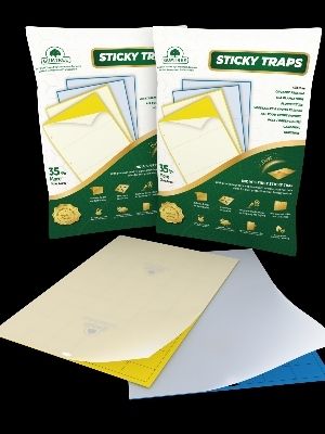 Insect Sticky Trap