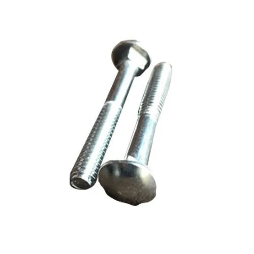 Stainless Steel Carriage Bolts