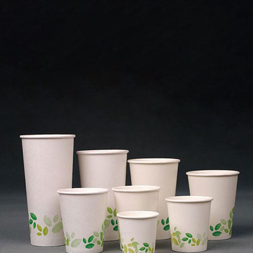 Biodegradable Paper Cup