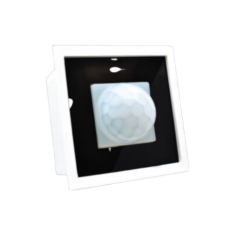 PIR Motion Sensor