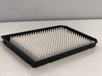 384 WELL CELL CULTURE PLATE WITH CLEAR POLYSTYRENE BOTTOM