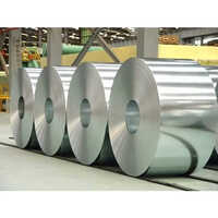 Ss430 Coil - Color: Gray