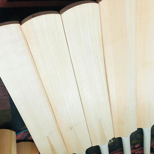 Kashmir Willow Leather Bat
