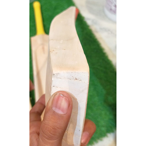 Kashmir Willow Leather Bat