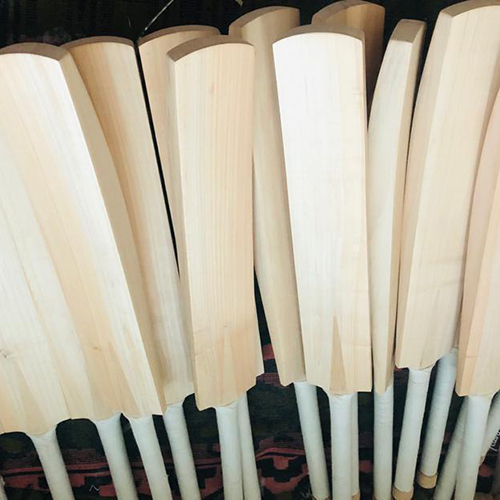 Kashmir Willow Leather Bat