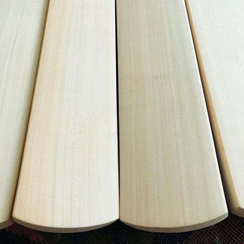 Kashmir Willow Leather Bat