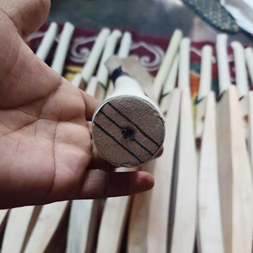 Kashmir Willow Scoop Bat