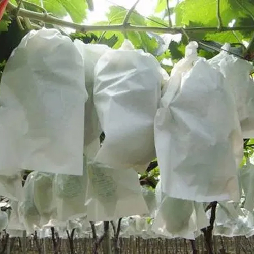 Agriculture Non Woven Fabric