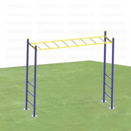 Monkey Bar/Horizontal Ladder