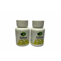 Giloy Extract Capsules