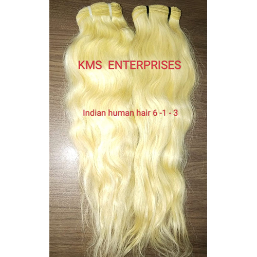 Indian Human Hair Application: Profesional