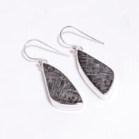 Natural Black Coral Gemstone 925 Sterling Silver Drop Earrings Women Fashion Earrings Supplier