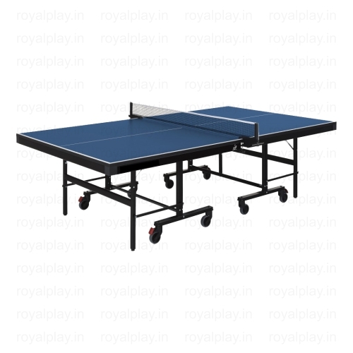 Table Tennis Pool Table