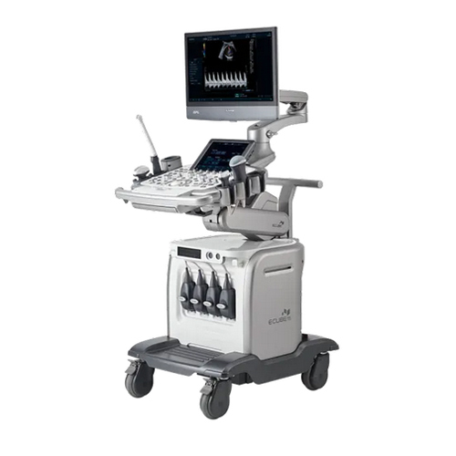 Bpl E-Cube 15 Platinum Ultrasound Machine - Color: Silver And Black