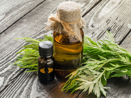 Wormwood  Oil