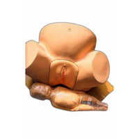 Anatomical Midwifery Training Model - Plastic Material, Skin Color | Expertly Designed for Realistic Training
