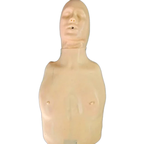 Anatomical Half Body CPR Training Manikin