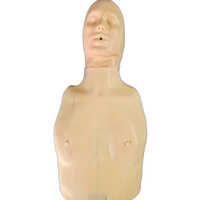 Anatomical Half Body CPR Training Manikin