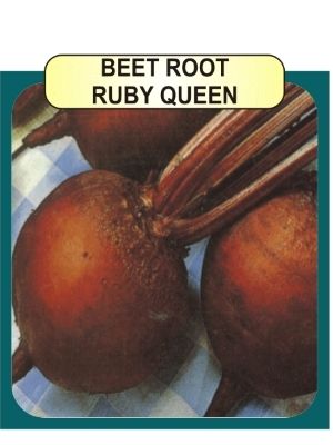 Beet Root Ruby Queen Seeds