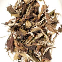 Baimudan White Tea Flower