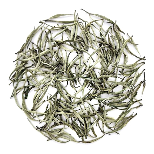Silver Needle White Tea