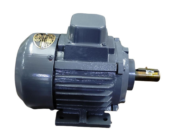 SINGLE PHASE ELECTRICAL MOTOR