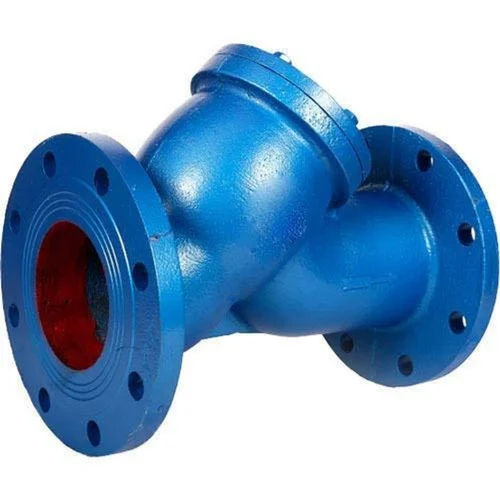 Blue Ci Y Type Strainer