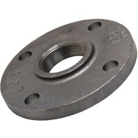 Cast Iron Flanges