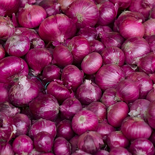 Fresh Red Onion - Raw, Deep Red Color, Firm Texture | Versatile Cooking Ingredient for Salads, Stir Fries, and Pickled Condiments