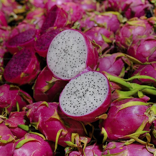 Fresh Dragon Fruit