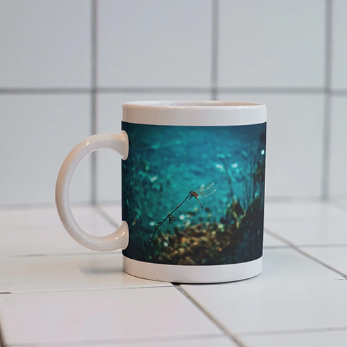 Dragonfly At Lake Coffee Mug