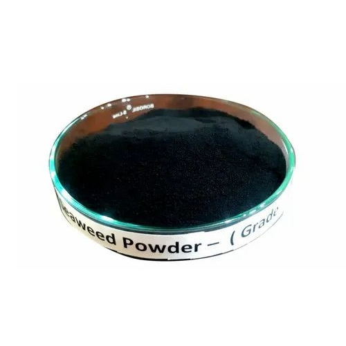 Grade 1 Organic Seaweed Extract Powder Application: Agrochemical