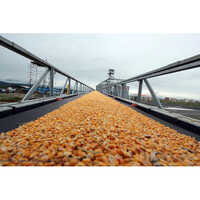 Industrial Belt Conveyors