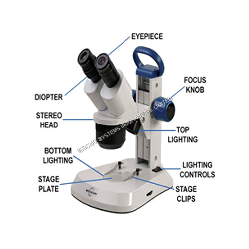 Stereo Microscope