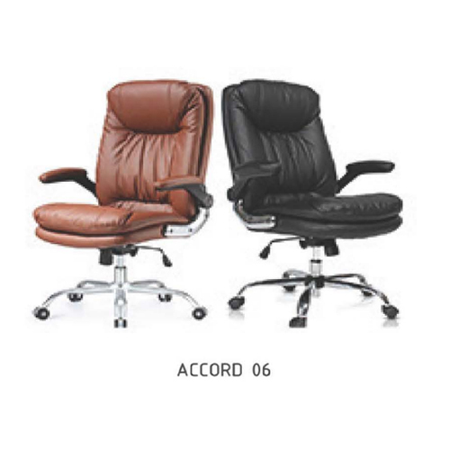 Executive Portable Chair