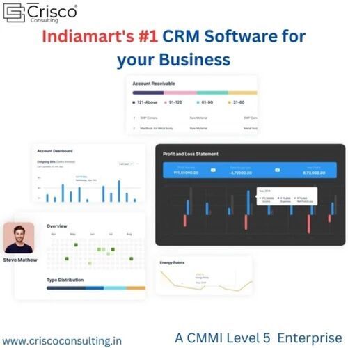 Crm Software Development By CRISCO CONSULTING