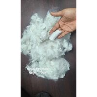 Trilobal Polyester Staple Fibre