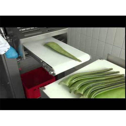 Aloe Vera Processing Machine