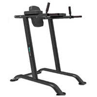 Commercial Vertical Knee Raise