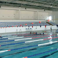 False Start Indicator - High-Quality Plastic, Orange Color | Essential Safety Device for Swimming Competitions